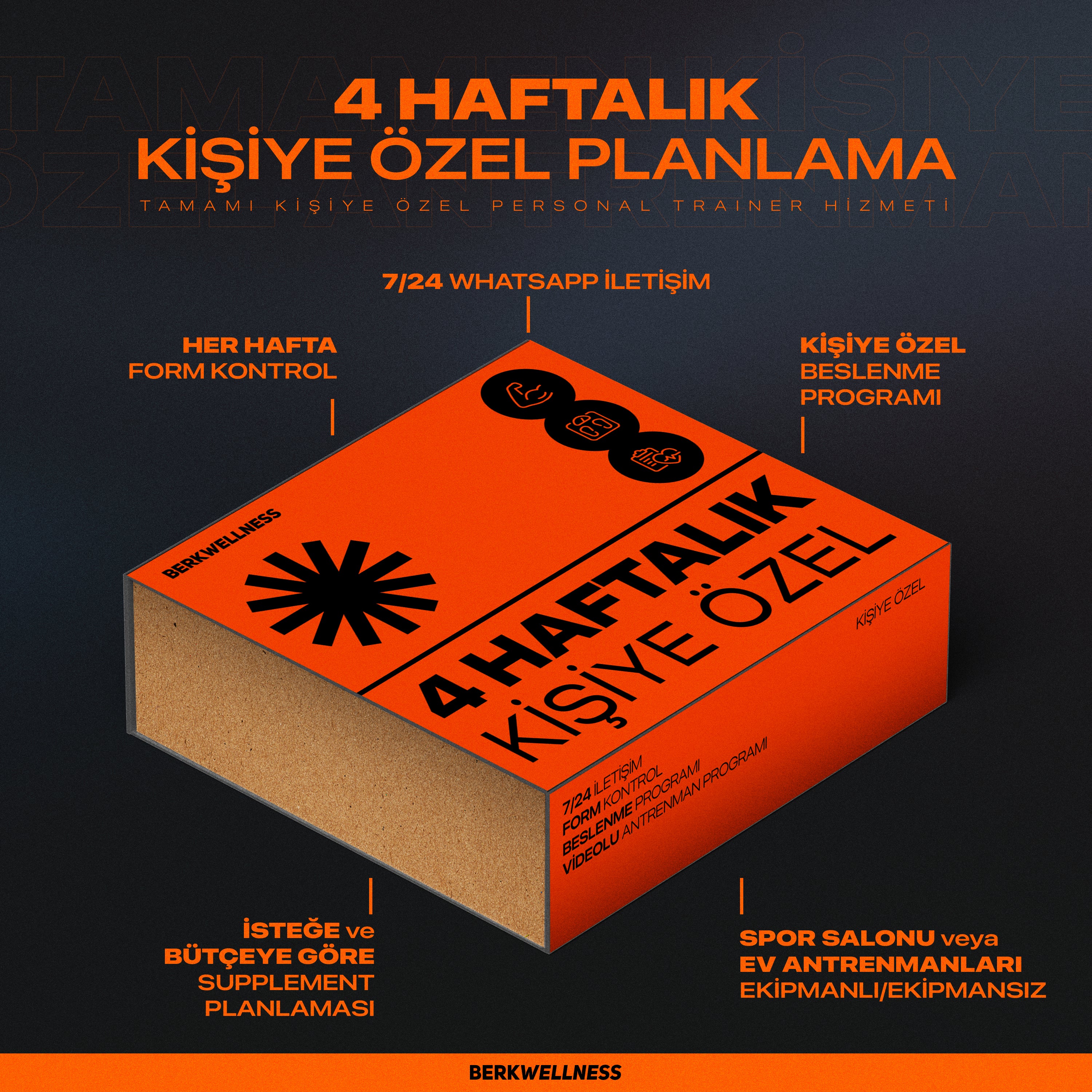 Bire Bir Danışmanlık 1 Ay